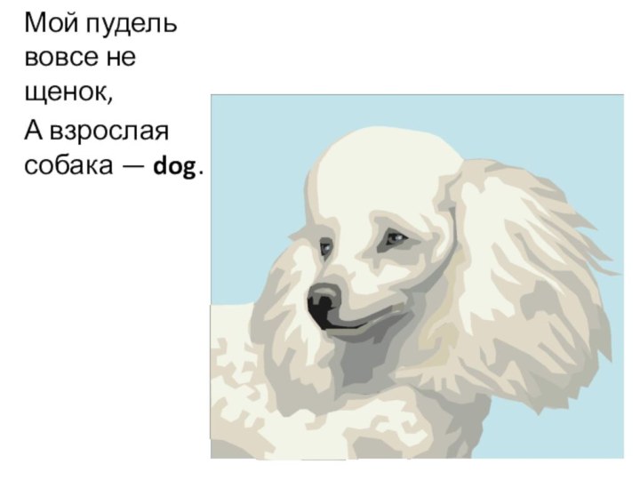 Мой пудель вовсе не щенок,А взрослая собака — dog.