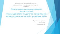 Презентация к консультации для начинающих воспитателей презентация