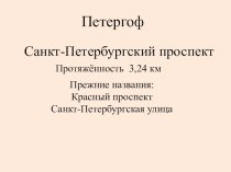 Петергоф. Санкт-Петербургский проспект (часть 1) занимательные факты