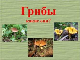 Грибы какие они? презентация к уроку (старшая группа)