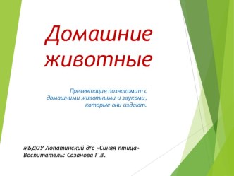 Презентация Домашние животные презентация к занятию по развитию речи (младшая группа)