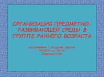 организация предметно - развивающей среды в группе раннего возраста презентация к занятию (младшая группа) по теме