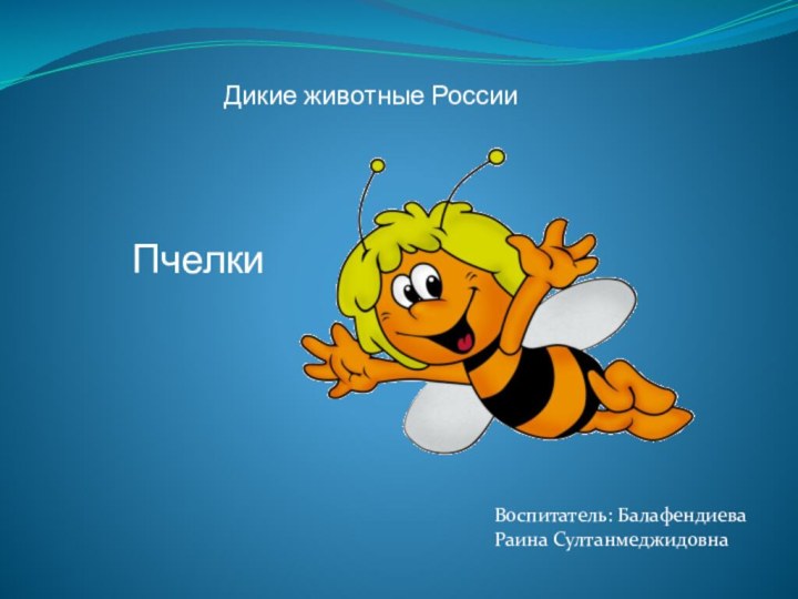 Дикие животные РоссииВоспитатель: Балафендиева Раина Султанмеджидовна Пчелки