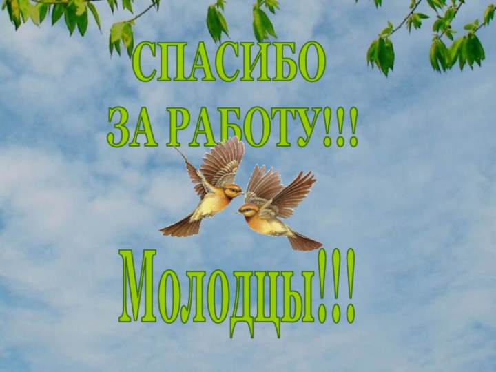 СПАСИБО ЗА РАБОТУ!!!Молодцы!!!