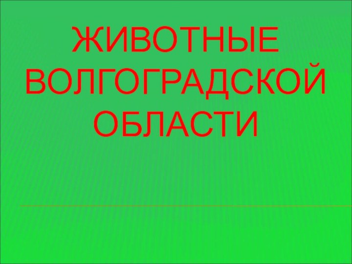 ЖИВОТНЫЕ ВОЛГОГРАДСКОЙ ОБЛАСТИ