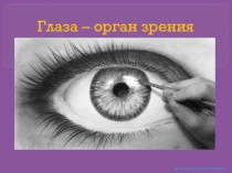 Глаза - орган зрения. презентация к уроку по окружающему миру (3 класс)