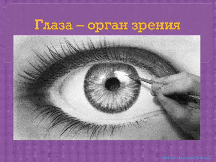 Глаза – орган зренияМинченко Т.Р., Школа № 15, Москва.