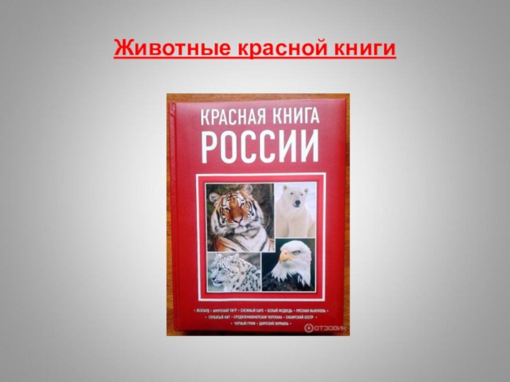 Животные красной книги