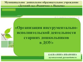 Организация инструментально-исполнительской деятельности в ДОУ презентация к уроку (старшая группа) по теме
