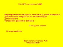 Формирование сенсорных эталонов у детей младшего дошкольного возраста и их значение для дальнейшего успешного развития ребёнка презентация к занятию (младшая группа)