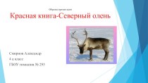Красная книга-Северный олень презентация к уроку по окружающему миру (4 класс)