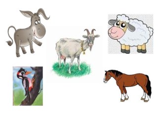 открытое занятие кружка дополнительного образования план-конспект занятия (старшая группа)