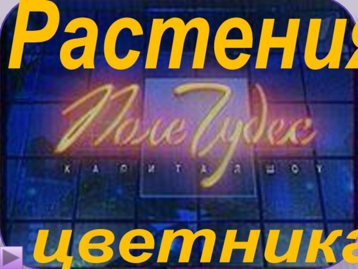 Растенияцветника