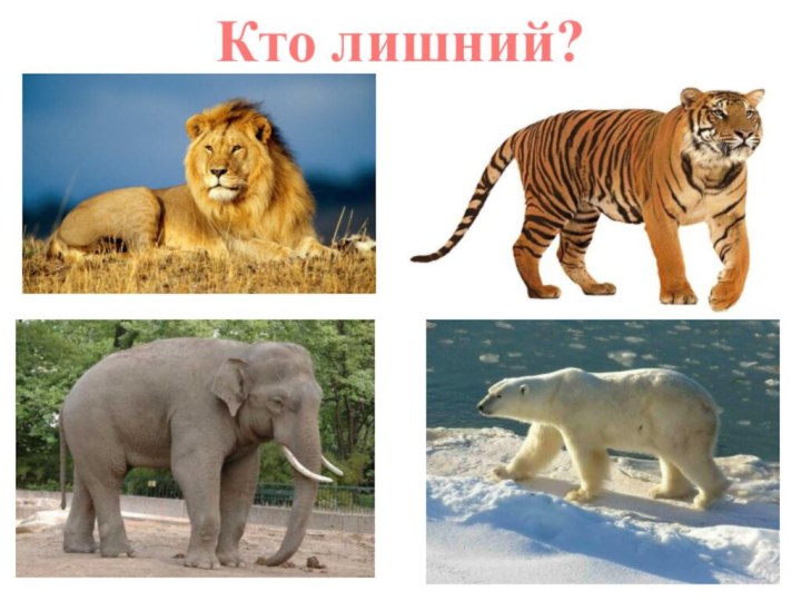 Кто лишний?