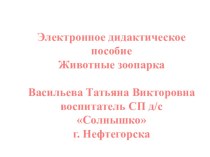 Презентация Животные зоопарка презентация к уроку по окружающему миру (старшая группа)