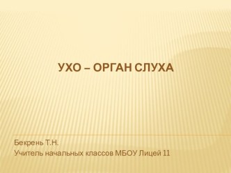 Ухо -орган слуха презентация к уроку по окружающему миру (4 класс) по теме