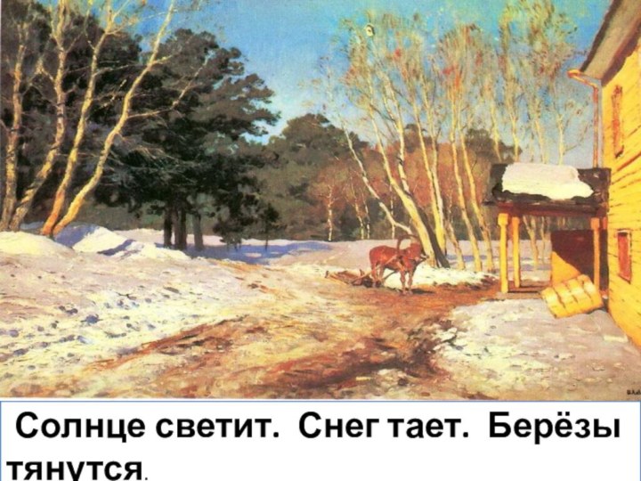 Солнце светит. Снег тает. Берёзы   тянутся.