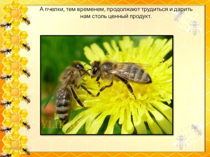 А пчелки, тем временем, продолжают трудиться и дарить нам столь ценный продукт.