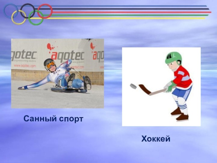 Санный спортХоккей