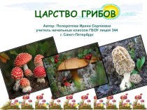 Всё о грибах презентация к уроку по окружающему миру