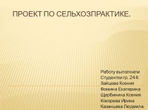 Об организации работы ресурсной площадки для молодых педагогов.Реализация проектов по экологии. проект