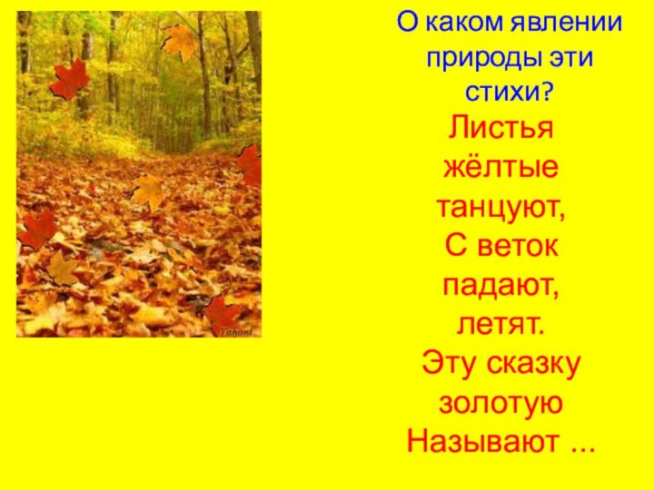 О каком явлении природы эти стихи?Листья жёлтые танцуют, С веток падают, летят.