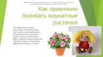 Как правильно поливать комнатные растения презентация к уроку по окружающему миру (подготовительная группа) по теме