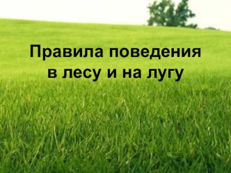 Люкшина Екатерина Владимировна воспитатель Правила поведения в лесу и на лугу.. Скачать бесплатно и без регистрации. презентация к занятию (подготовительная группа)