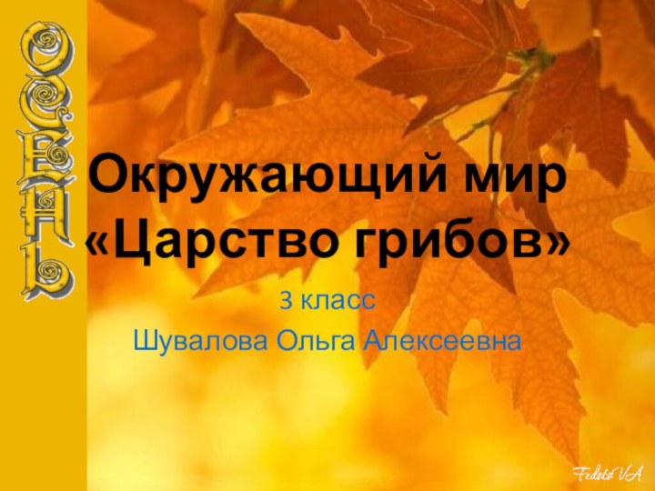 Окружающий мир «Царство грибов»3 классШувалова Ольга Алексеевна