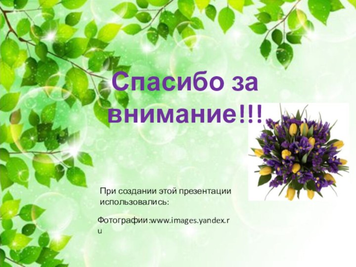 Спасибо за внимание!!!При создании этой презентации использовались:Фотографии:www.images.yandex.ru