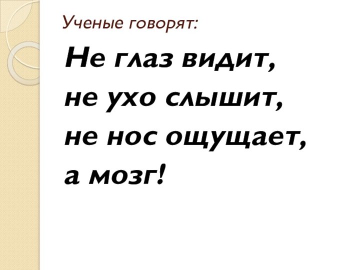 Ученые говорят: Не глаз видит, не ухо слышит, не нос ощущает, а мозг!