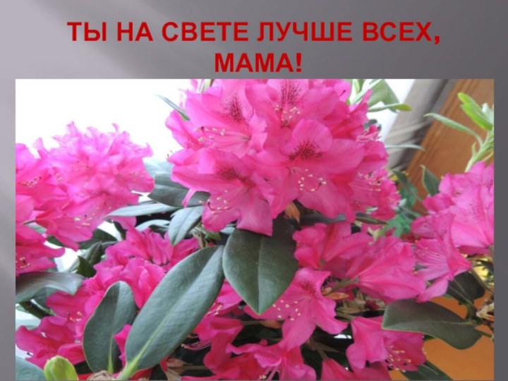 ТЫ НА СВЕТЕ ЛУЧШЕ ВСЕХ,  МАМА!