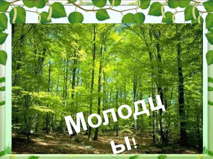 Молодцы!