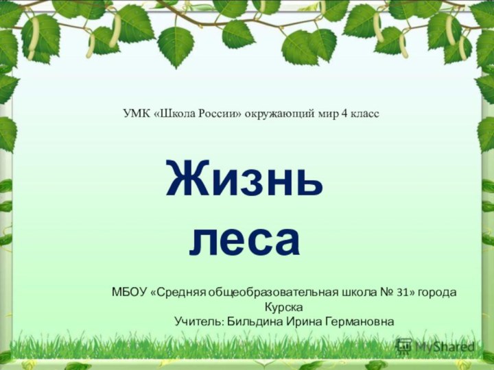 Жизнь лесаМБОУ «Средняя общеобразовательная школа № 31» города КурскаУчитель: Бильдина Ирина ГермановнаУМК