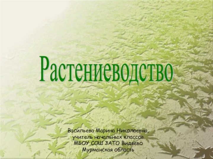 РастениеводствоВасильева Марина Николаевна,учитель начальных классовМБОУ СОШ ЗАТО Видяево Мурманская область