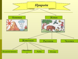 Презентация по окружающему миру. презентация к уроку по окружающему миру (1 класс) по теме