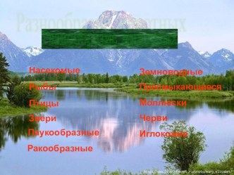 Презентация презентация к уроку по окружающему миру (3 класс) по теме