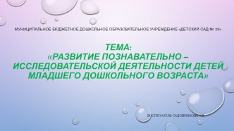 Презентация к отчету статья (младшая группа)