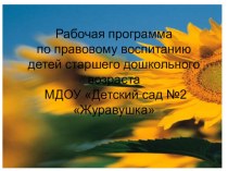 презентация рабочей программы по правовому воспитанию рабочая программа (подготовительная группа) по теме