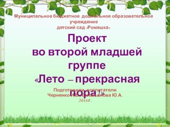 Проект во второй младшей группе Лето - прекрасная пора проект по физкультуре (младшая группа)