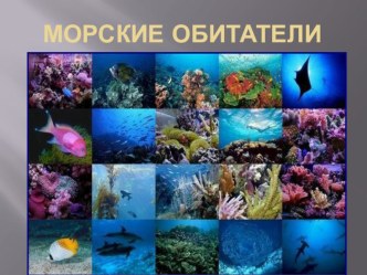 Презентация Морские обитатели презентация к уроку по окружающему миру (старшая группа)