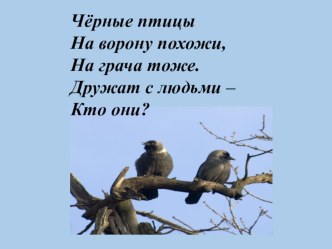 Изложение Умная галка презентация к уроку по русскому языку (2 класс) по теме