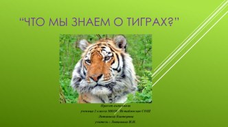 Проект Что мы знаем о тиграх? проект (2 класс)