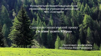 Социально-экологический проект Зелёное золото Югры проект (младшая группа)