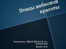 птицы небесной красоты № 2 презентация к занятию по окружающему миру (подготовительная группа)