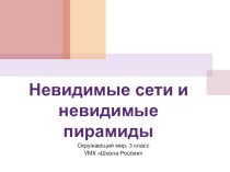 Невидимые сети и пирамиды. Окружающий мир. 3 класс презентация к уроку по окружающему миру (4 класс) по теме