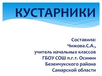 Презентация Кустарники презентация к уроку по окружающему миру