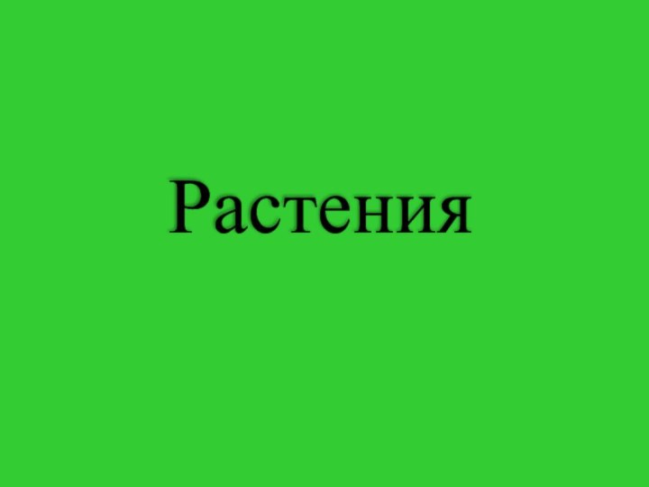 Растения