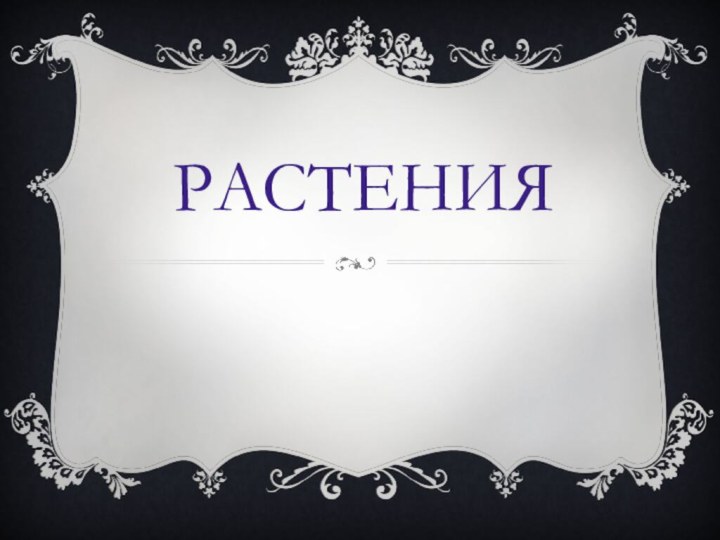 РАСТЕНИЯ