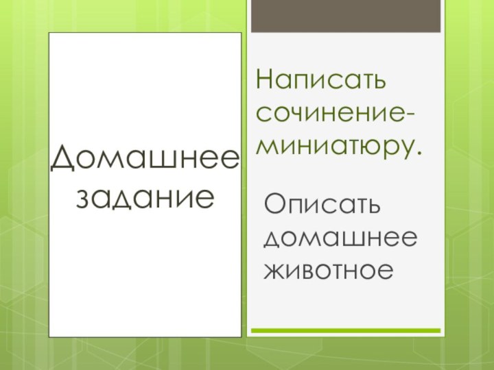 Домашнее заданиеНаписать сочинение-миниатюру.Описать домашнее животное